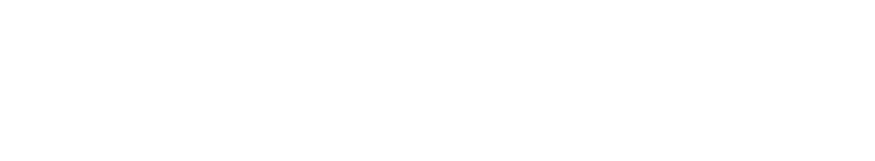 semiplius.lt